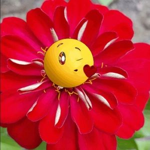 Meet your Posher, Ri